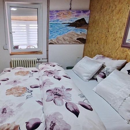 Apartments Panda ヴラシチ エクステリア 写真