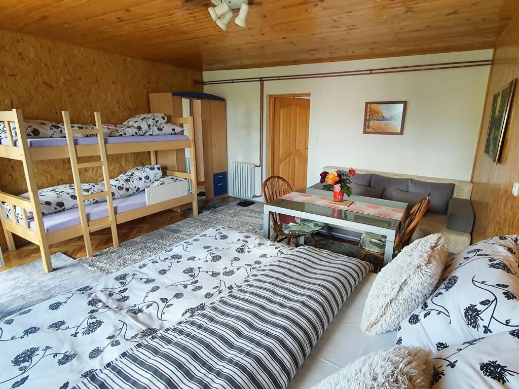 Apartments Panda ヴラシチ エクステリア 写真