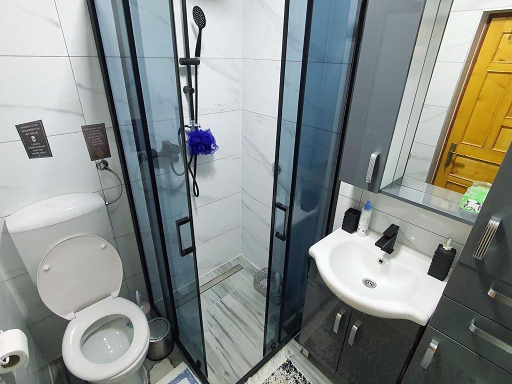 Apartments Panda ヴラシチ エクステリア 写真