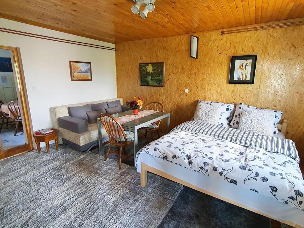 Apartments Panda ヴラシチ エクステリア 写真